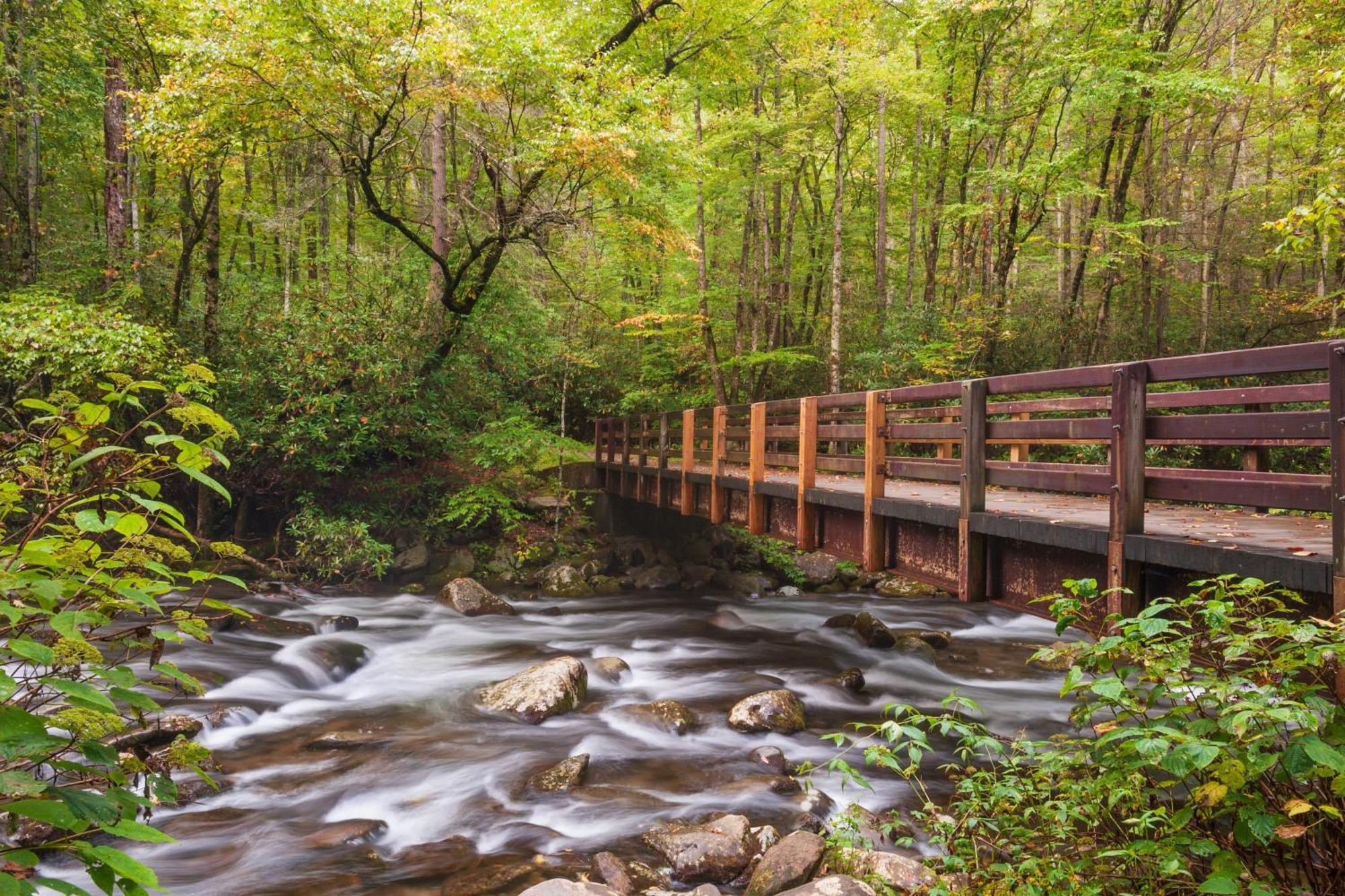 Rest Assured Βίλα Pigeon Forge Εξωτερικό φωτογραφία